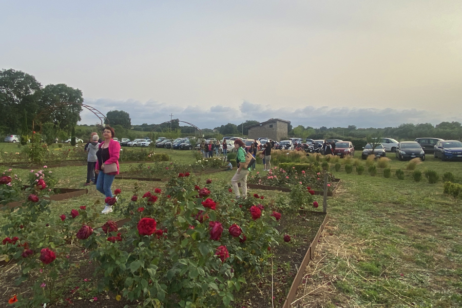 Un giorno di Solidarietà tra le Rose con il cibo a chilometro zero e tanto divertimento