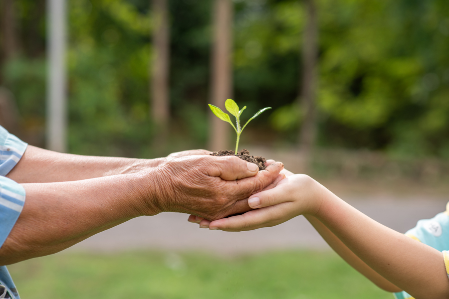 Giornata Mondiale dell’Ambiente 2024: Rigenerare il Suolo, Prendersi Cura della Terra e Promuovere la Filiera Corta