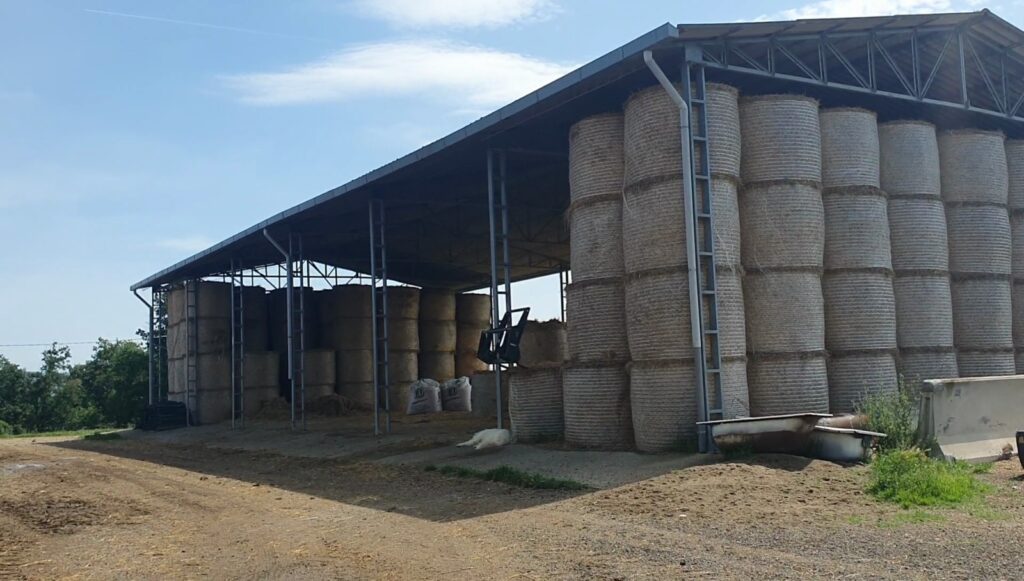 Azienda Agricola Pacifici - vivisanomangiabene.it