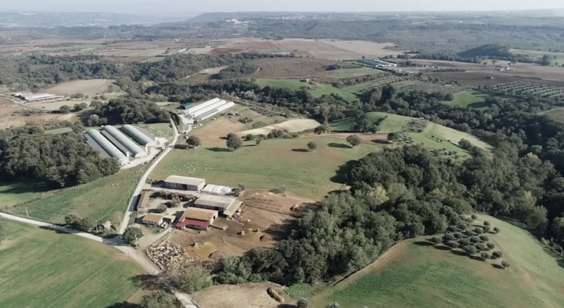 Azienda Agricola Pacifici - vivisanomangiabene.it