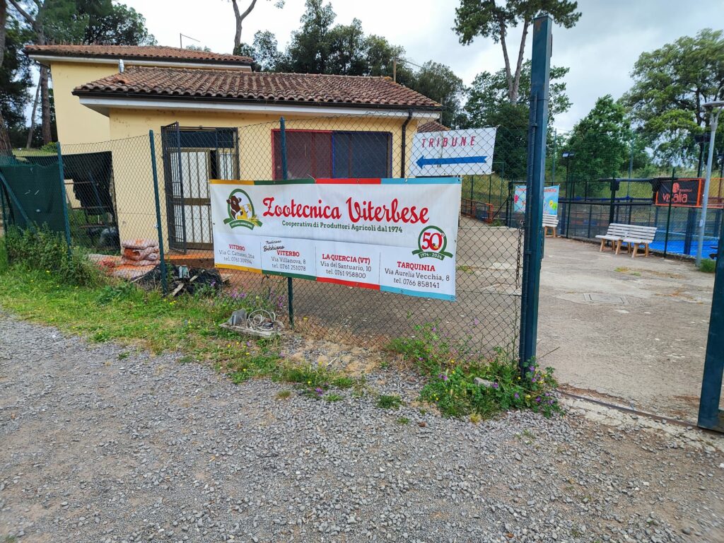 Polisportiva Vetralla e Zootecnica Viterbese