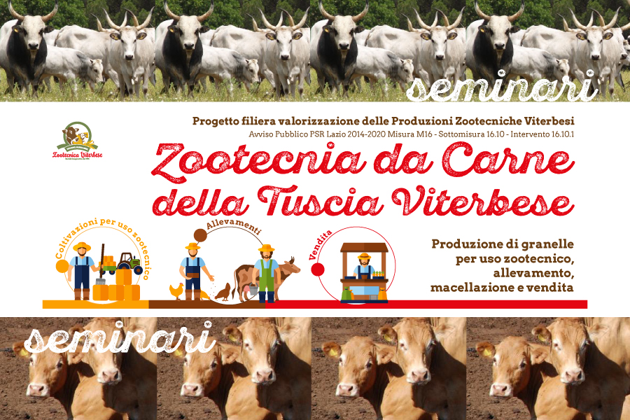 Seminari – Zootecnia della Carne della Tuscia Viterbese