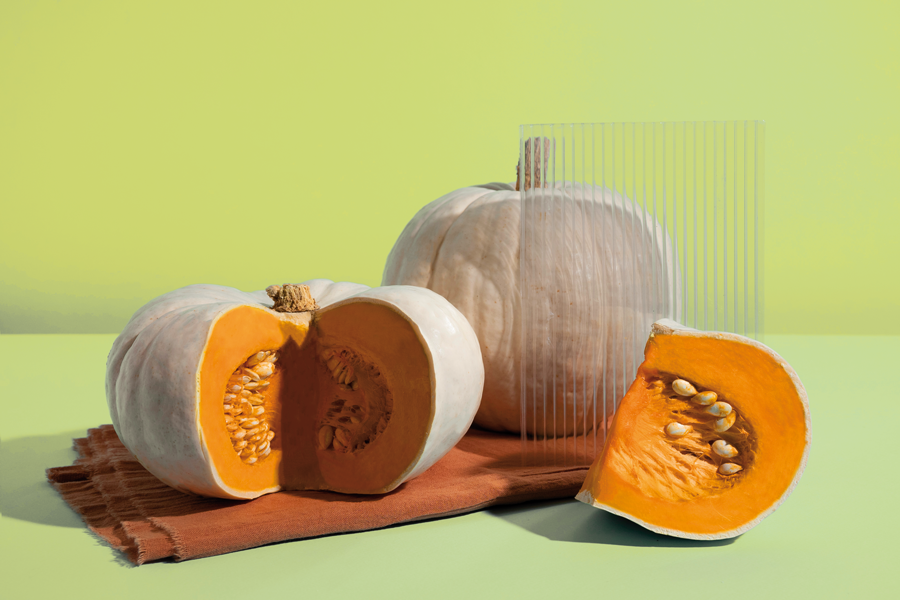 Vivi Sano Mangia Bene - Ricette con la Zucca - Zootecnica Viterbese
