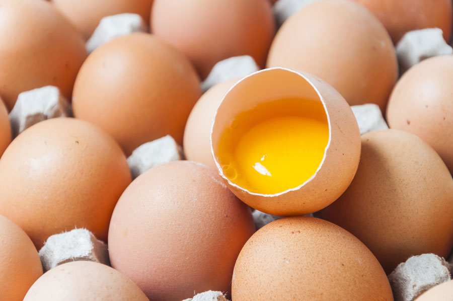 Vivi Sano Mangia Bene - Le uova si possono mangiare ogni giorno? Falsi miti e verità nutrizionali