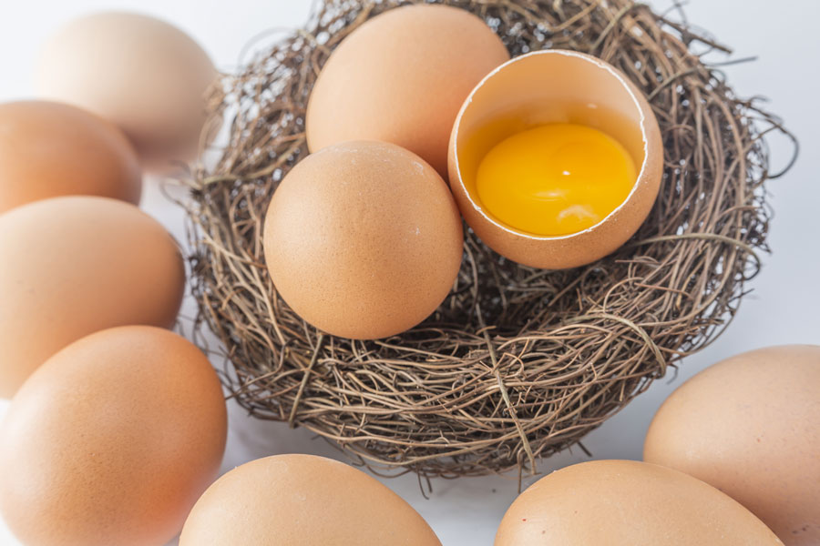 Vivi Sano Mangia Bene - Le uova si possono mangiare ogni giorno? Falsi miti e verità nutrizionali