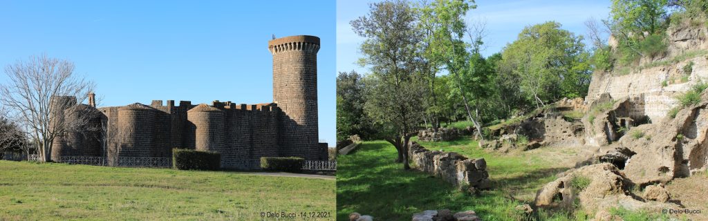Canino - la città dell'olio d'oliva - vivi sano mangia bene