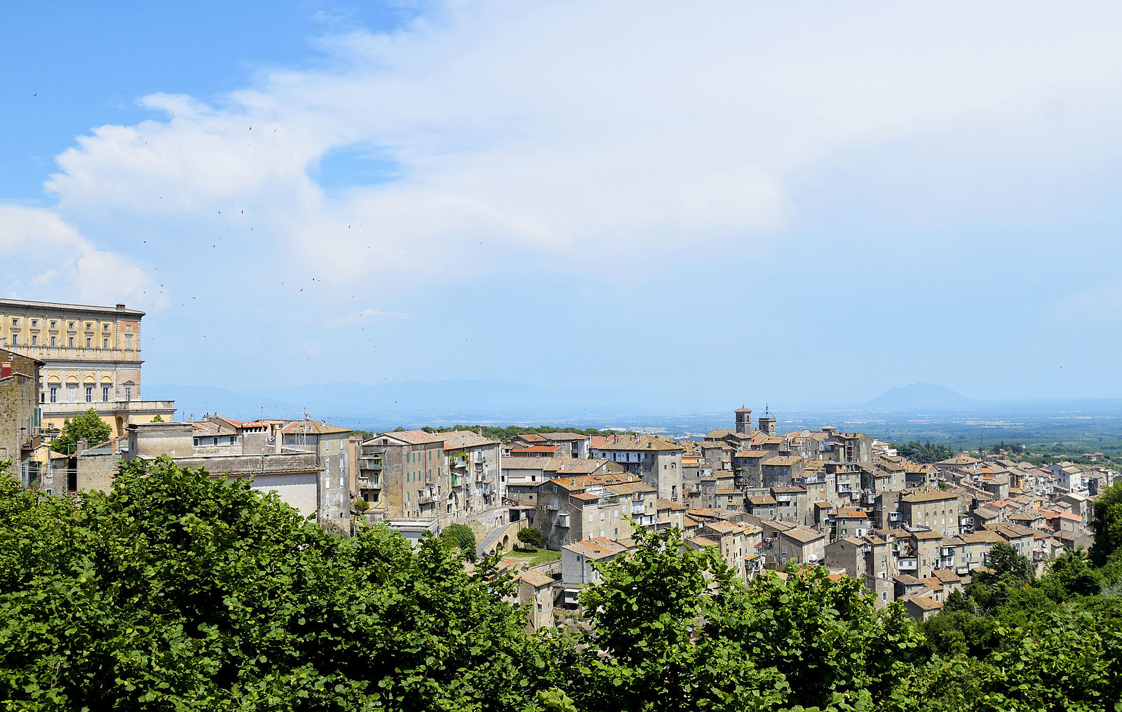 Caprarola, la regina della nocciola