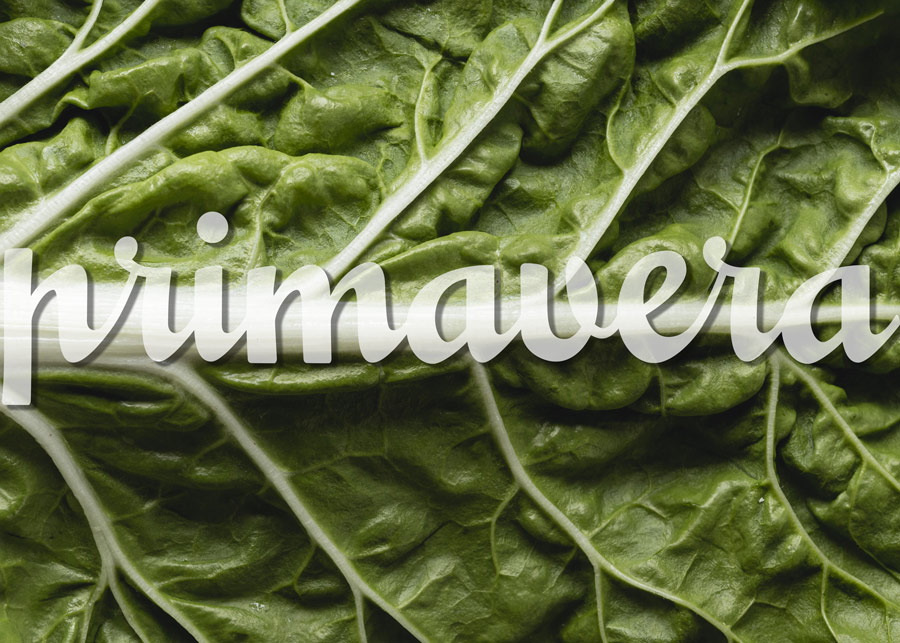 vivi sano mangia bene | Il risveglio della natura: cosa mangiare in primavera per depurarsi e ritrovare energia