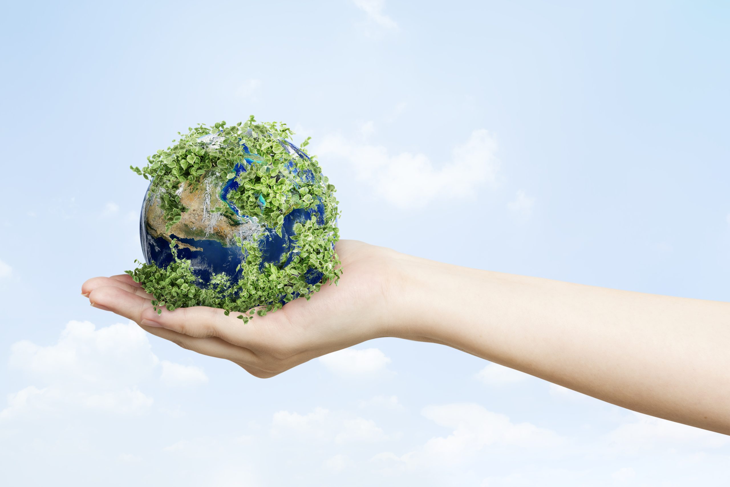 La giornata della Terra: come rendere la nostra alimentazione più sostenibile
