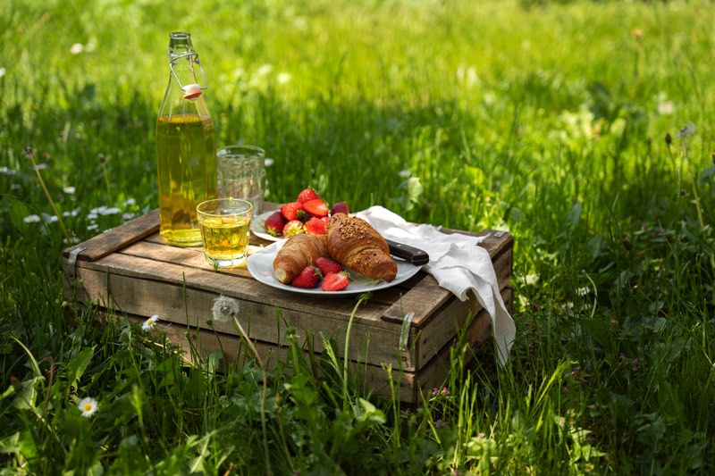 Picnic rustici per giornate lente