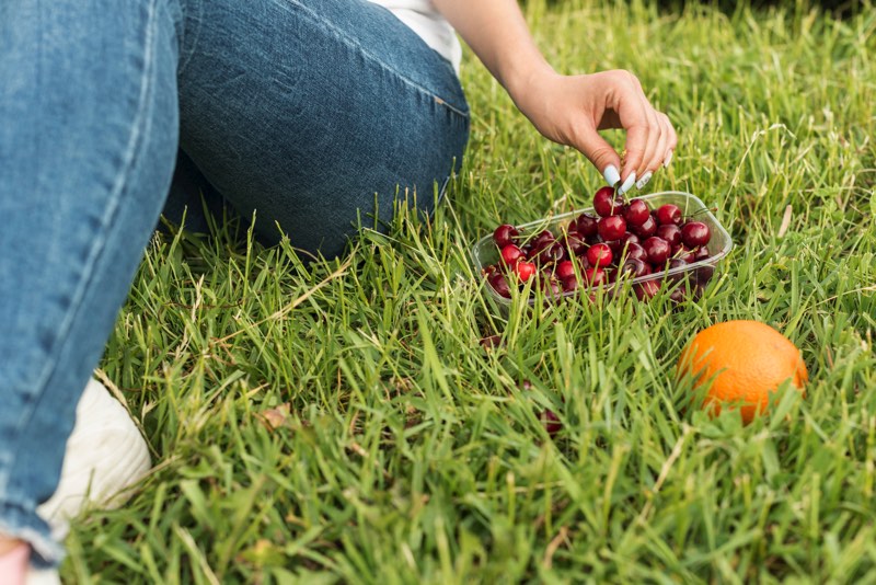 Frutta di stagione: come nasce, si raccoglie e si conserva