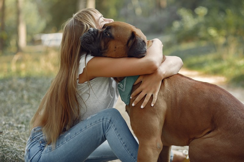 26 AGOSTO • La giornata mondiale del cane