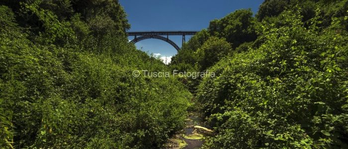 ronciglione-tuscia-fotografia10 ronciglione - Viterbo - tuscia fotografia - Maurizio Di Giovancarlo