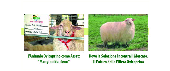 L’ECO DELLE CAMPANE SINERGIE TRA TERRITORIO, ALLEVAMENTO E INNOVAZIONE