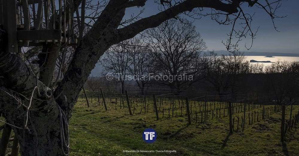 Gradoli: storia e vino sulla collina che guarda il lago - Tuscia Fotografia