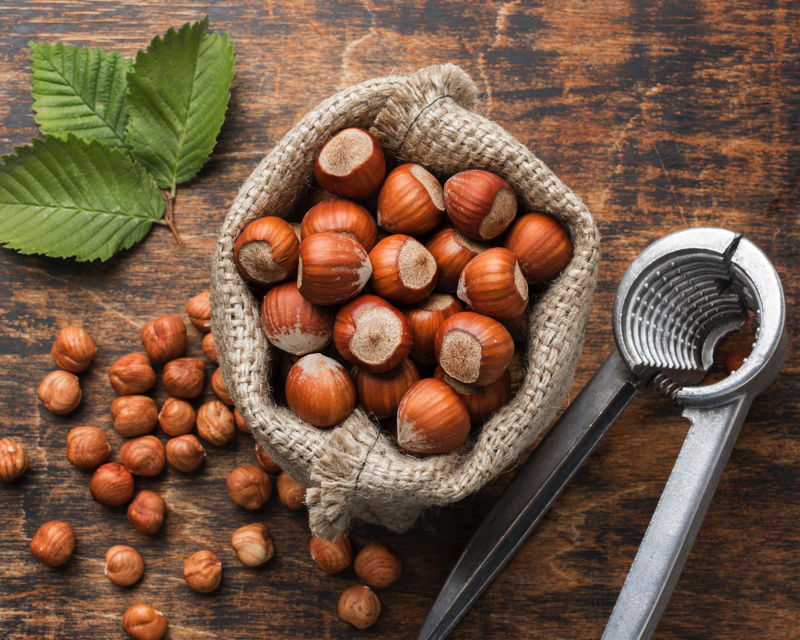 Frutta secca un piccolo concentrato di benessere - vivi sano mangia bene