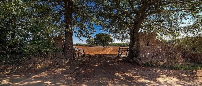 Farnese storia, natura e sapori della Tuscia11 Farnese: storia, natura e sapori della Tuscia - Tuscia Fotografia