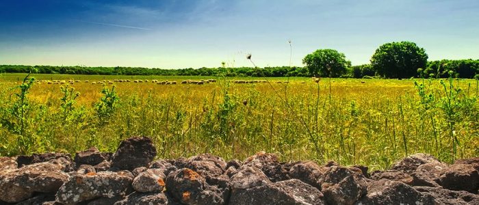 Farnese storia, natura e sapori della Tuscia3 Farnese: storia, natura e sapori della Tuscia - Tuscia Fotografia