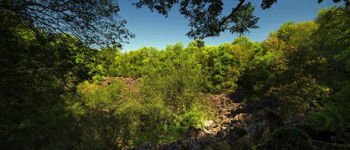 Farnese storia, natura e sapori della Tuscia7 Farnese: storia, natura e sapori della Tuscia - Tuscia Fotografia