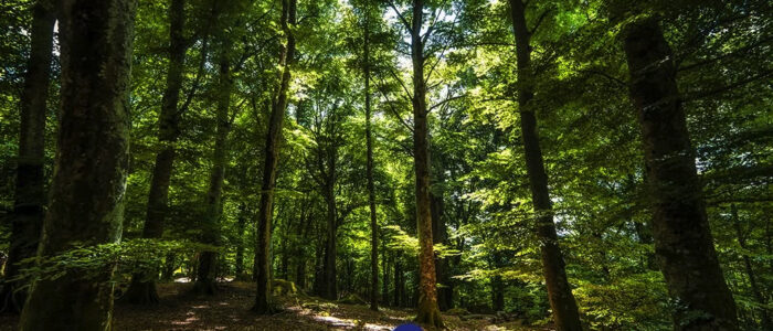 Una gita autunnale nella Tuscia 3 Una gita autunnale nella Tuscia