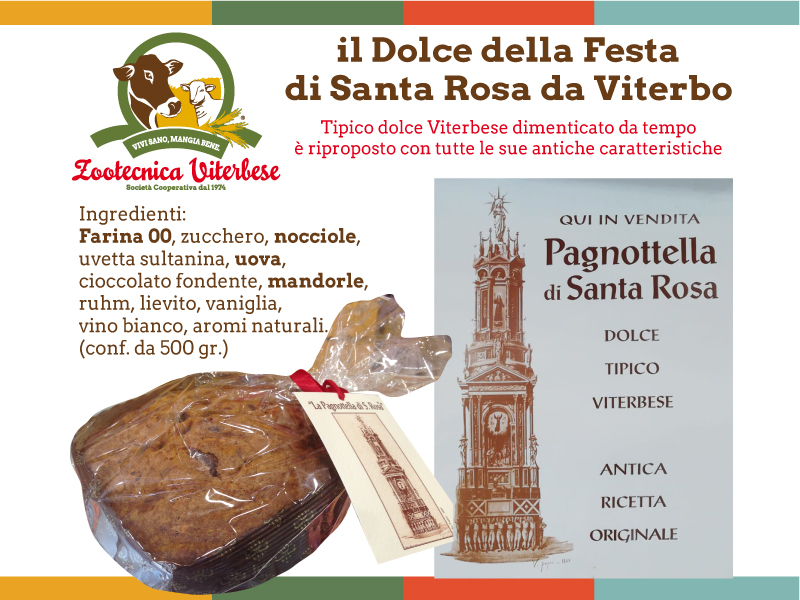 La Pagnottella di Santa Rosa: il dolce dimenticato che torna a raccontare Viterbo